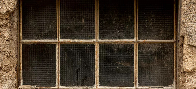Traditional Double Front Doors in Hunters Creek, FL