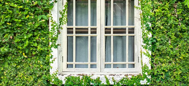 Garden Window Repair Near Me in Hunters Creek, FL