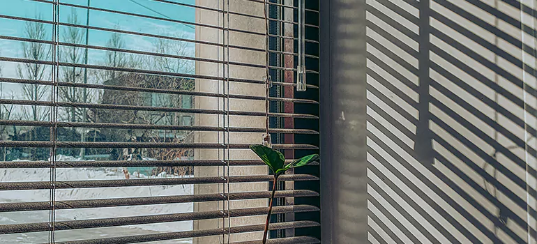 Commercial Window Blinds in Hunters Creek, FL