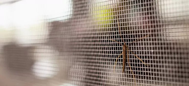 Repair Mosquito Mesh For Windows in Hunters Creek, FL