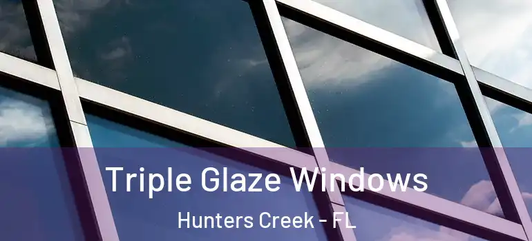  Triple Glaze Windows Hunters Creek - FL